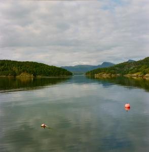 Blick auf einen See mit Bäumen am Ufer in der Unterkunft Kyn Sjøstuer in Stavang