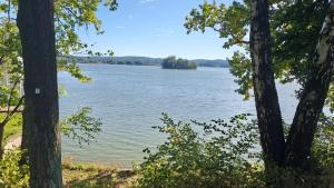 una vista de un lago desde entre dos árboles en Chalupa Lidunka, en Střížovice