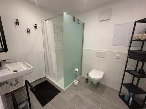 a bathroom with a shower and a toilet at Ferienwohnung Seescheune in Bodman-Ludwigshafen +16 photos