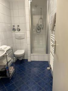 een badkamer met een douche, een toilet en een wastafel bij Wohnen Im Paradies in Konstanz