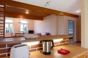 NeuklosterにあるGutshaus am Teichのキッチン、リビングルーム(トースター、カウンター付)