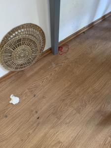 Φωτογραφία από το άλμπουμ του Modern Apartment with Balcony near Vienna σε Wiener Neudorf