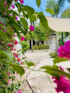 a garden with pink flowers in front of a garage at Casa Lluavi - Caliope in Mérida
