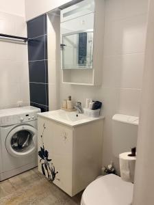 ein Badezimmer mit Waschbecken und Waschmaschine in der Unterkunft Cozy Apartment 150 m from Târgu Mureș Hospital in Târgu Mureș