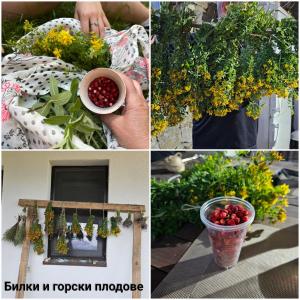 Gambar di galeri bagi Къща за гости МЕЧА СТЪПКА di Gela