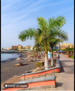 a beach with palm trees and benches and the ocean at Apartamento Playa Rosa in Guía de Isora