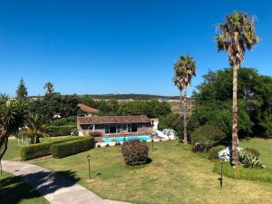 une maison avec une piscine et des palmiers dans l'établissement Cozy Cottage, à Praia da Vitória 12 autres photos
