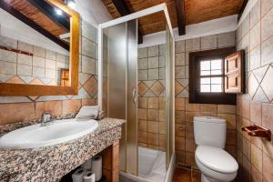 a bathroom with a sink and a toilet and a shower at El Granero in Málaga +15 photos