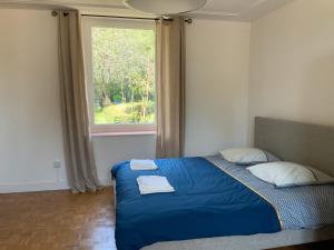 a bedroom with a bed with blue sheets and a window at La Béchetière in Parcé-sur-Sarthe +22 photos