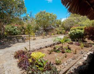 Zahrada ubytování LIMA House - Mangrove Nyumba + 4 fotografie