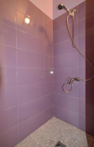 baño púrpura con ducha y aseo en Gîte Nautilus, en Elven