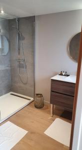 Menetou-RâtelにあるMaison Fleuriet - Grand gîteのバスルーム(シャワー、洗面化粧台、シンク付)