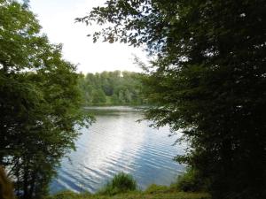 a view of a lake between two trees at Twistesee Ferienhaus 110 in Wetterburg