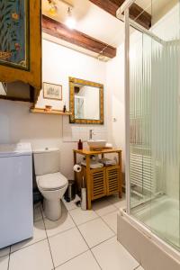 une salle de bain avec toilettes et douche dans l'établissement Charmant et typique 2 pièces Place de la Cathédrale, à Strasbourg