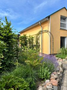 a garden in front of a yellow building at Mien lüttes Glück -Fewo Backboord in Zempin