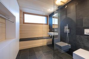 a bathroom with a shower and a toilet and a sink at Lippenhof - Unter der Linde in Unterkirnach