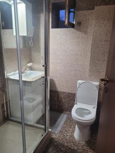 un bagno con un water e un lavandino di Pensiunea ELEMAR ad Azuga Altre 35 foto