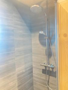eine Dusche mit Duschkopf in einem Badezimmer in der Unterkunft Gite Artense lodge in Saint-Genès-Champespe