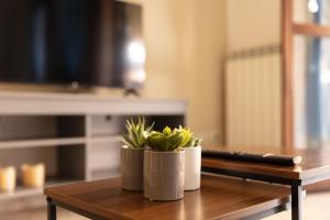dos macetas sentadas sobre una mesa de madera en De Homes - Appartamento con Terrazza vicino Assago e Milano, en Buccinasco
