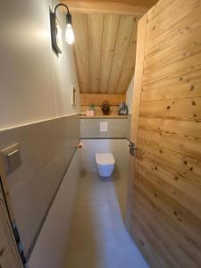 a bathroom with a toilet and a wooden ceiling at Chalet Le Chastel in Pelvoux