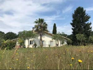 a house with a palm tree in a field at Vieille House in Saint-Geours-de-Maremne