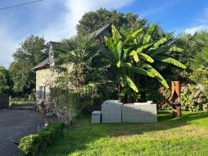 a house with a large palm tree in the yard at Beautiful 2-Bedroom Gîte in Montenay in Montenay