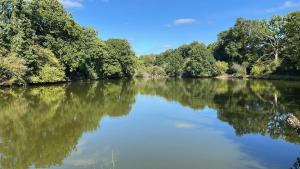 a river with trees reflecting in the water at Beautiful 2-Bedroom Gîte in Montenay in Montenay