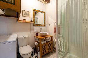 une salle de bains avec toilettes, lavabo et miroir dans l'établissement Charmant et typique 2 pièces Place de la Cathédrale, à Strasbourg 20 autres photos