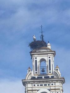 a bird sitting on top of a building at HACIENDA LA MACARENA DE SEVILLA in Cantillana