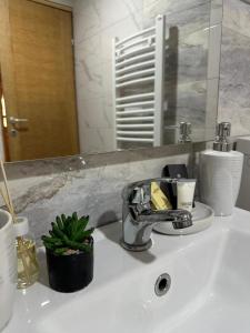 a bathroom sink with a faucet and a plant on it at VILA LENA in Kokin Brod +24 photos