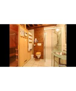 a bathroom with a shower and a toilet and a sink at Chalet Genepi - 14p in Praranger
