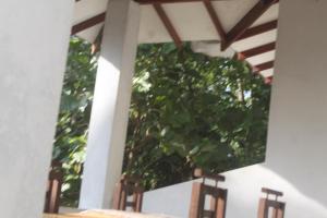 a window in a white wall with a green plant at Natura in Dickwella