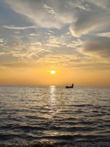 Příroda nedaleko bed and breakfast