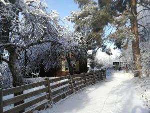 a fence covered in snow in front of a house at Villa Momo in Kitzbühel +29 photos
