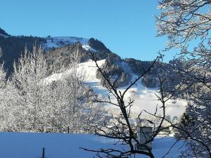 a snow covered mountain with trees in the foreground at Villa Momo in Kitzbühel