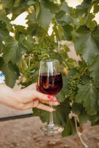 Thức uống tại o2 Resort Valle