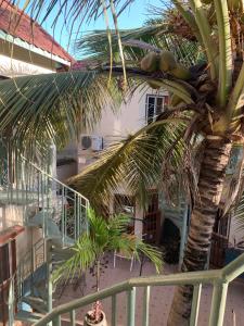 BusumbalaSumanguru Airport Studios的建筑物前的棕榈树