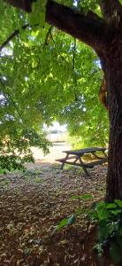 a picnic table sitting under a tree in a park at Gîte Ilostou in Rivière