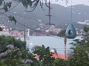 a view of a body of water and a city at Frenchtown Studio in St Thomas