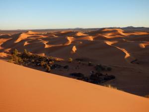 Oulad AkkouDartagounite的一群动物从空中欣赏沙漠