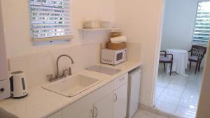 una cocina con fregadero y microondas en Frenchtown Studio, en Nazareth