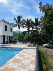 a villa with a swimming pool and palm trees at Narv extrema in Utica