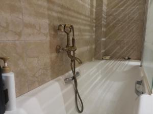 a shower in a bathroom with a bath tub at Villa Lynn in Athens +18 photos