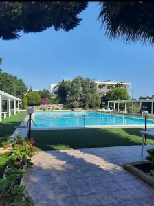 ノイカッタロにあるLa Dimora del Benessereの木々が茂る公園内の大型スイミングプール