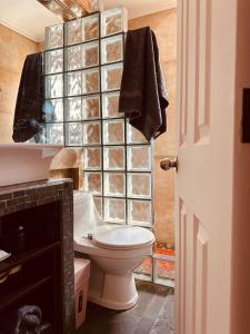 Un baño con inodoro y una pared de cristal. en Casa, en Punta Arenas