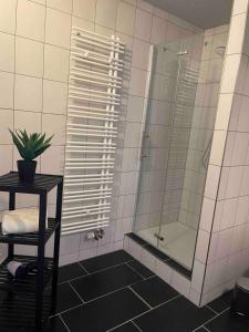 a bathroom with a shower with a glass door at cozy Apartment I WLAN in Neustadt in Neustadt in Sachsen