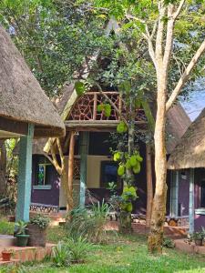 a house with a thatch roof and a porch at Nguru Farm Cottages in Kabale