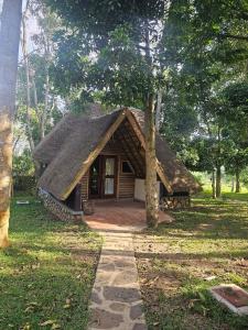 a small house with a thatched roof in a forest at Nguru Farm Cottages in Kabale