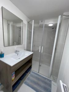 Koupelna v ubytování Très bel Appartement près de Montpellier + 5 fotografií