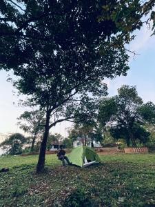una persona sentada junto a una tienda de campaña debajo de un árbol en Tent Stay Paithalvillage, en Jāmb